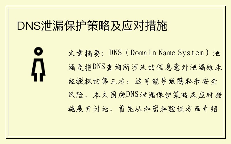 DNS泄漏保护策略及应对措施