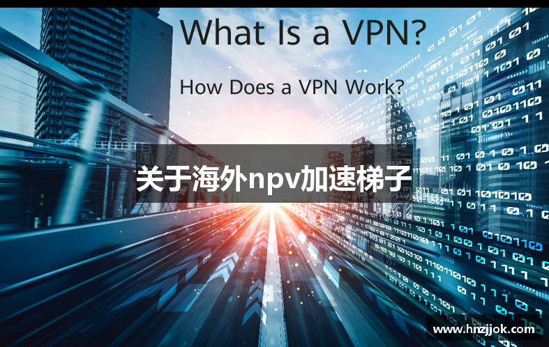 关于海外npv加速梯子